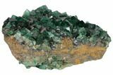 Fluorite Crystal Cluster with Galena- Rogerley Mine #132989-1